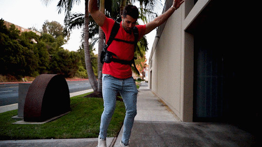 C1082_1_540x.gif?v=1610751112