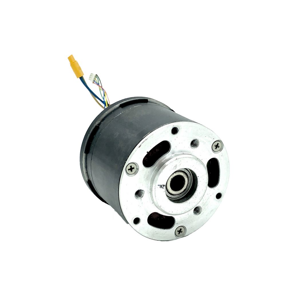 stock dual hub motor adult best